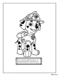 Chase Coloring Page with Megaphone and His Name