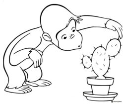 Curious George coloring page looking at a cactus