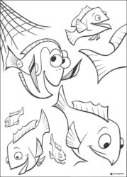 Deb and Other Fish Coloring Page