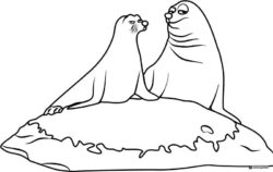 Fluke and Rudder seals on rock coloring page