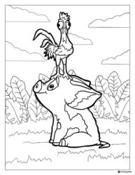 Heihei on Pua Coloring Page