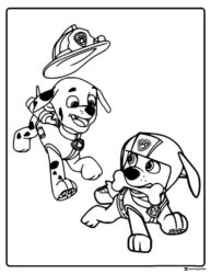 Marshall and Zuma Coloring Page Playing with Fire Hat