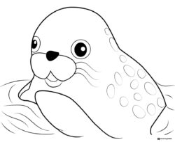 Octonauts Cute Seal Head Coloring Sheet