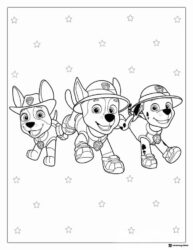 Paw Patrol Fire Pups Running with Star Background