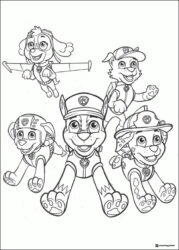 Paw Patrol Pups Group Coloring Page with Sky and Chase