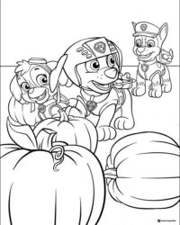 Paw Patrol Pups with Pumpkins Coloring Sheet