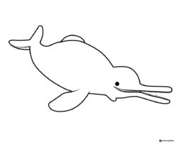 River dolphin with long snout coloring page