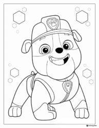 Rubble Close up Coloring Sheet with Hexagons