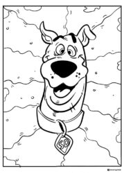 Scooby Doo head shot coloring sheet