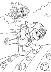 Skye and Tracker Coloring Sheet in Pumpkin Patch