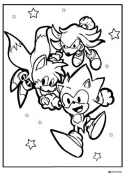 Sonic Tails and Knuckles coloring page