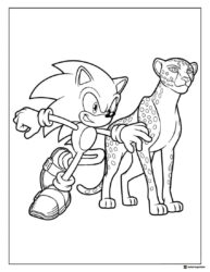 Sonic and Cheetah Coloring Page in an Action Pose Together
