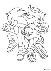 Sonic and Shadow Fighting Pose Coloring Page
