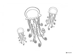 Three jellyfish coloring page